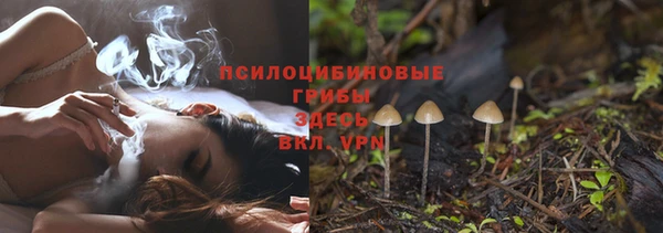 spice Абинск