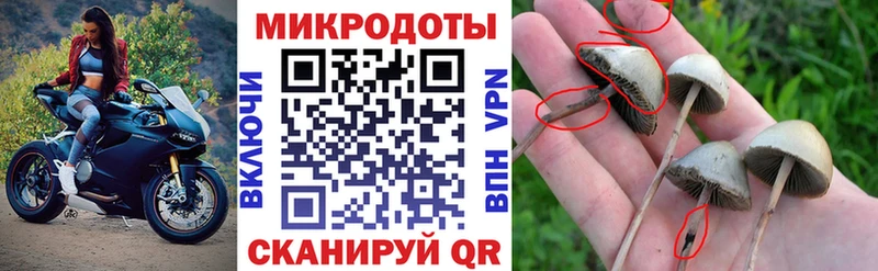 Галлюциногенные грибы Magic Shrooms  Алдан 